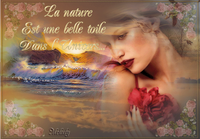 Image du Blog aujardindesroses.centerblog.net